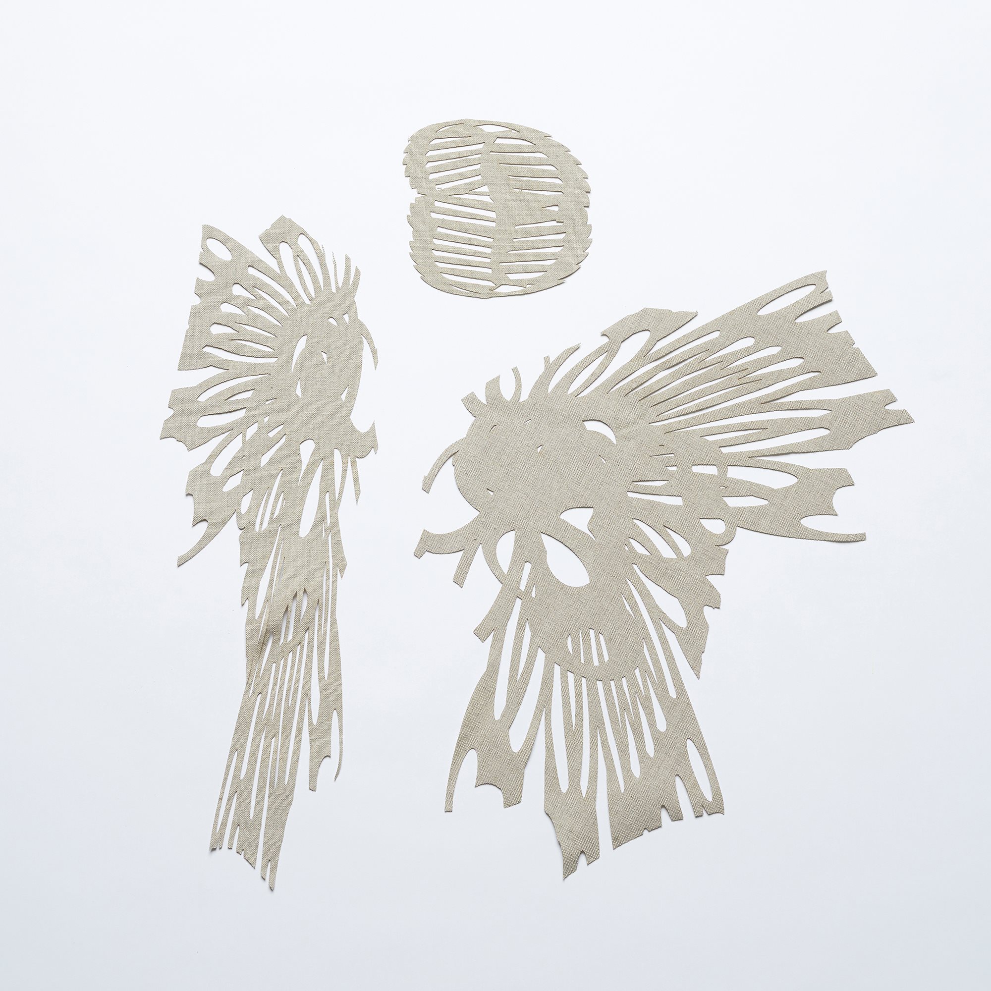 ls0000006-1.jpg
